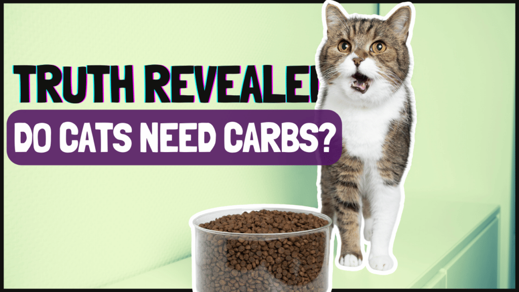 Do Cats Need Carbs?