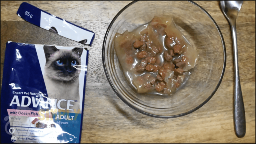 A close up look at Advance with Ocean Fish in jelly adult