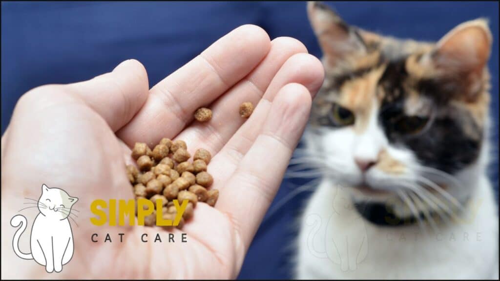 Do cats prefer carbs?