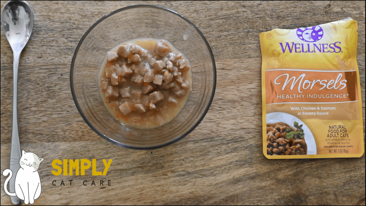 Honest Wellness Core Cat Food Review 2023