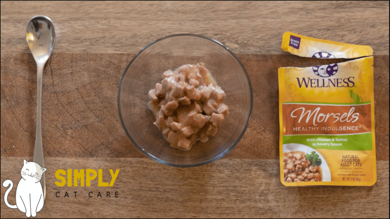 Honest Wellness Core Cat Food Review 2023