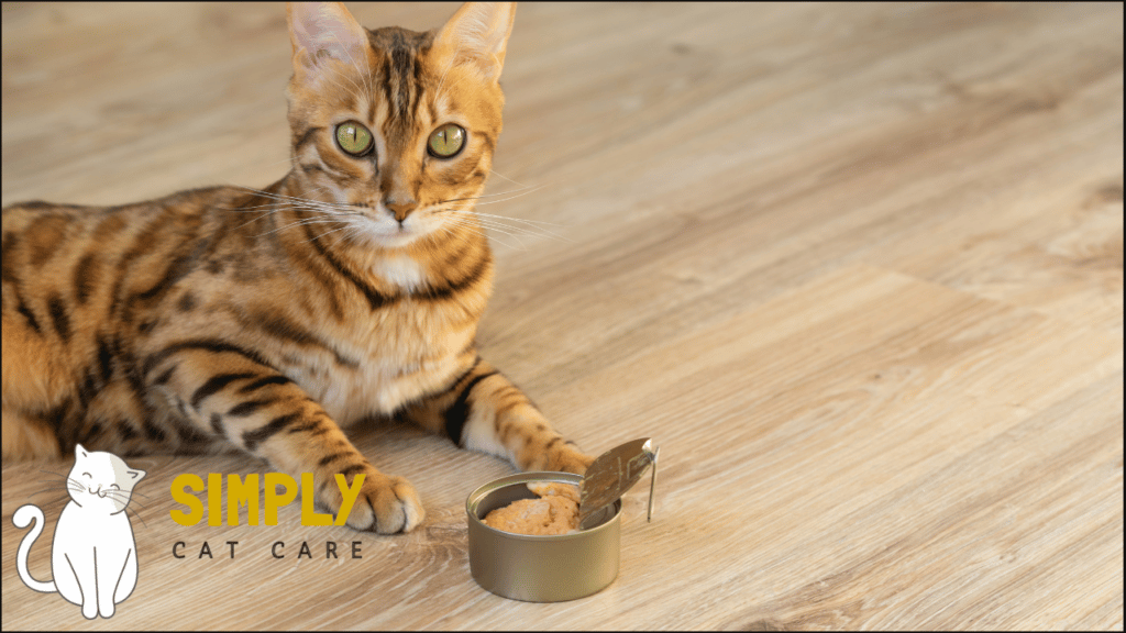 Canned cat food is the best choice for most cats on a budget.