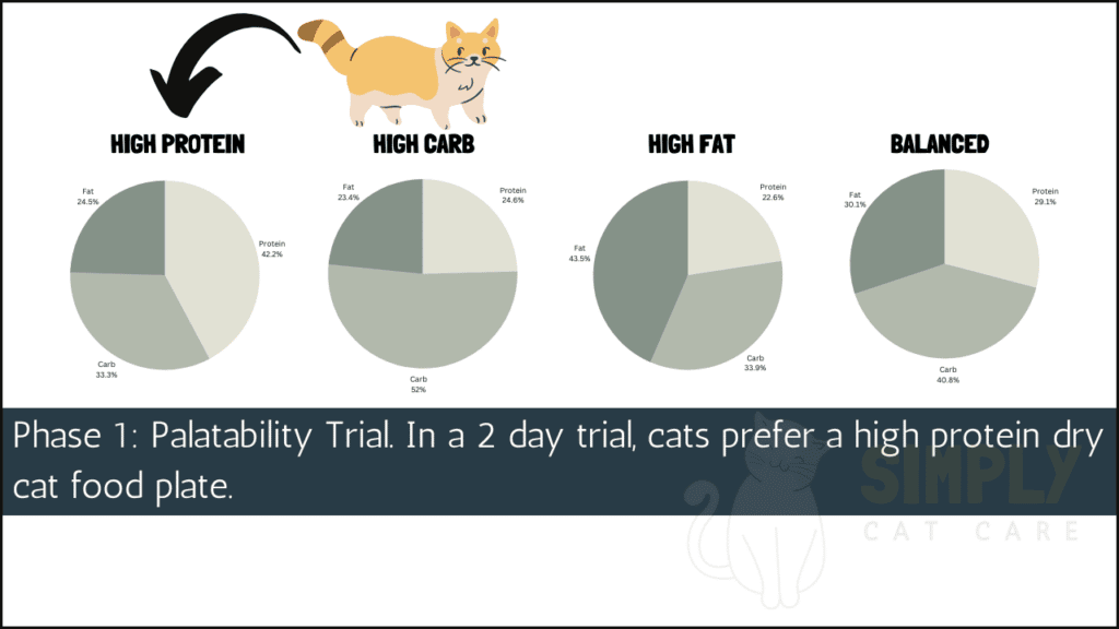 Cat preference study.