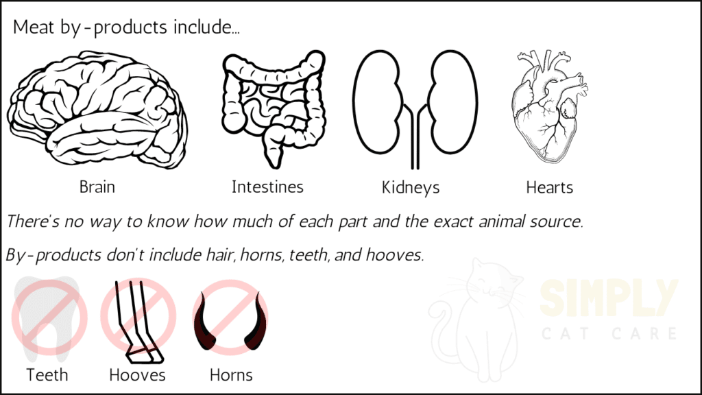 What are meat by products in cat food?