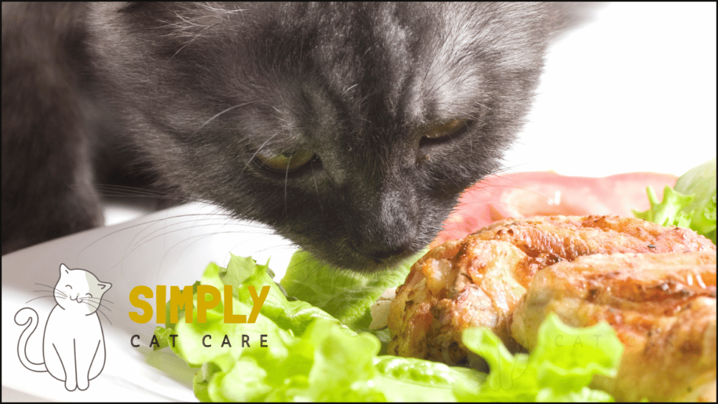 A cat eating meat.