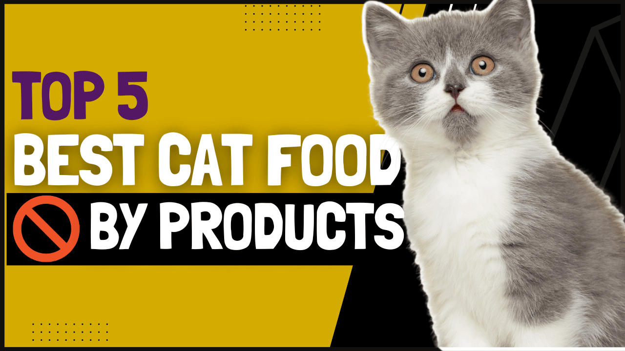 5 Best Cat Food Without By Products for Peace of Mind 2023