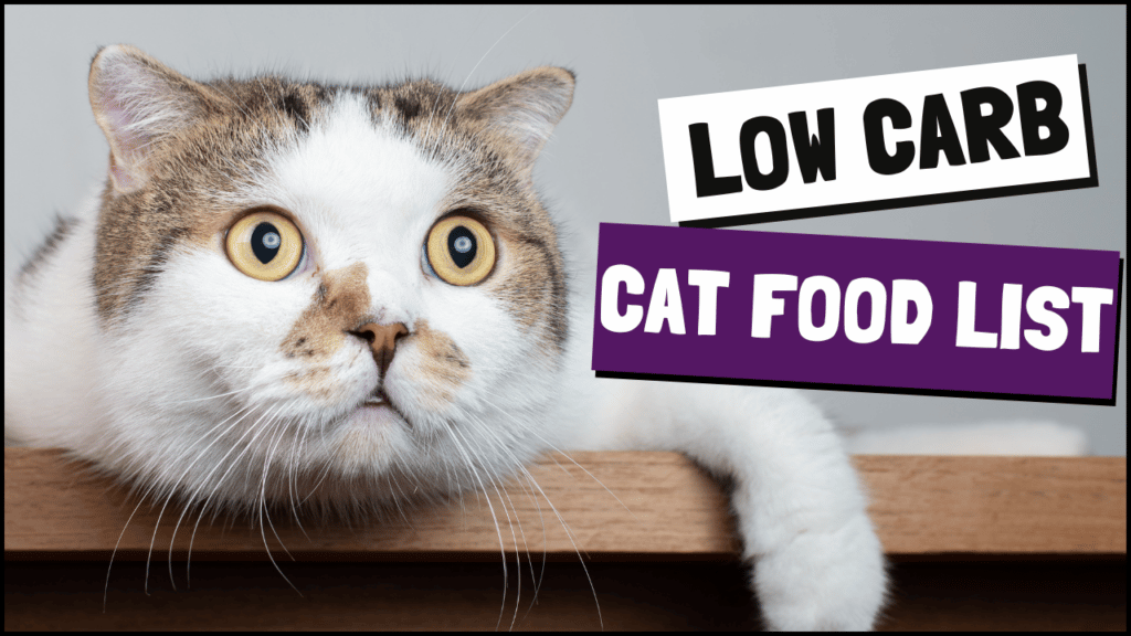 Full Low Carb Cat Food List. Find out what's best...