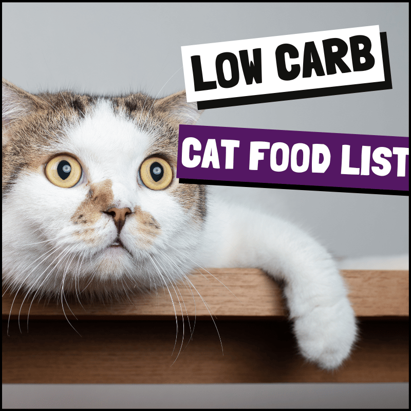 A Full Low Carb Cat Food List For Healthy Eating