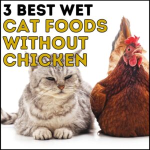 3 Best Wet Cat Foods Without Chicken