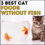 3 Best Cat Foods Without Fish