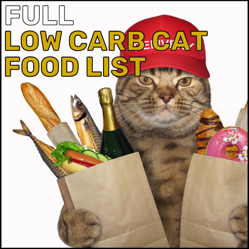 Full Low Carb Cat Food List In 2024