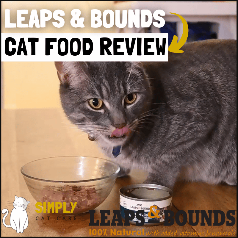 Honest Leaps and Bounds Cat Food Review