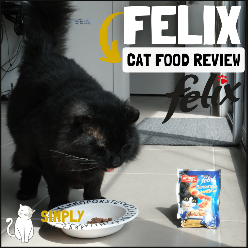Honest Felix Cat Food Review