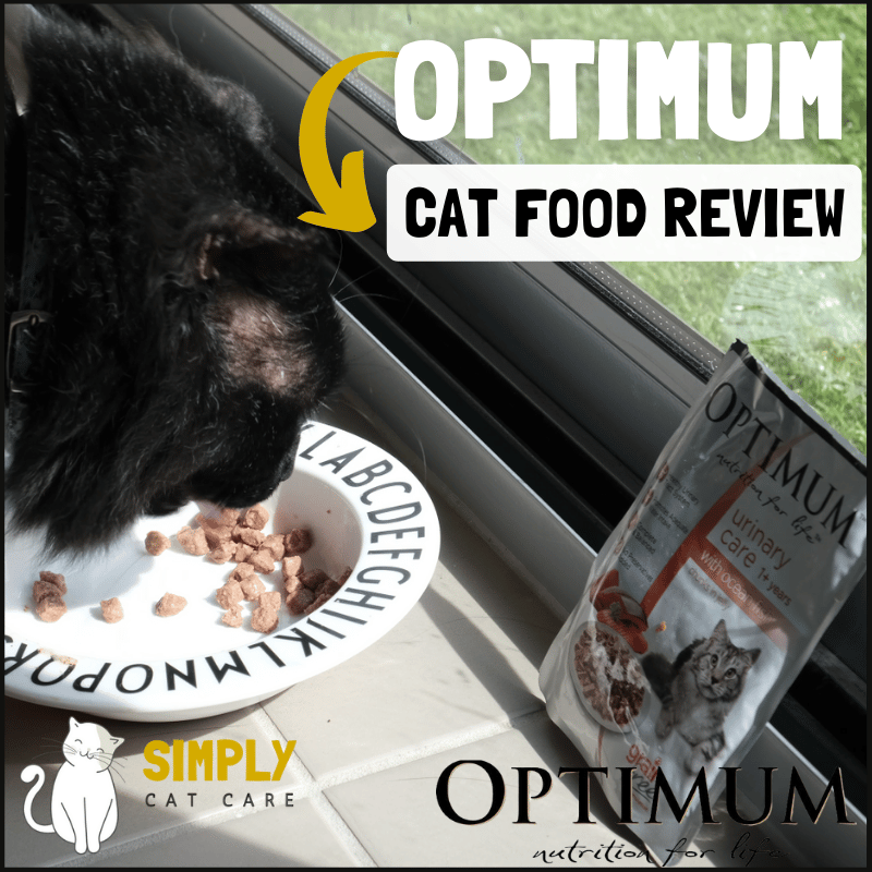 Honest Optimum Cat Food Review