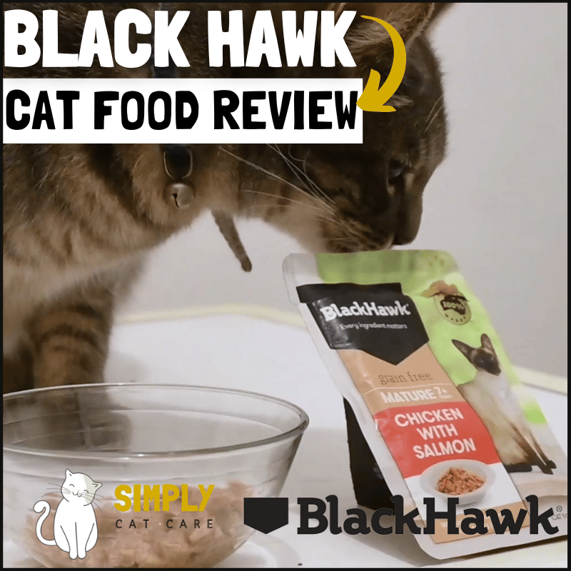 Black Hawk Cat Food Review