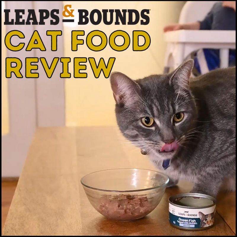 Honest Leaps and Bounds Cat Food Review