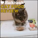 Black Hawk cat food review