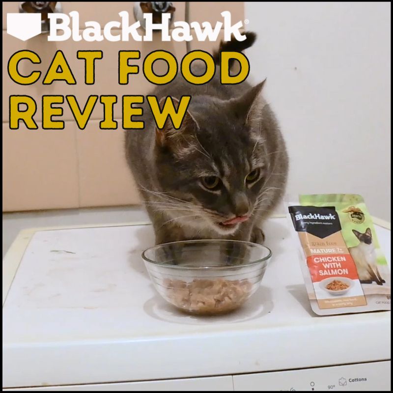 Honest Black Hawk Cat Food Review