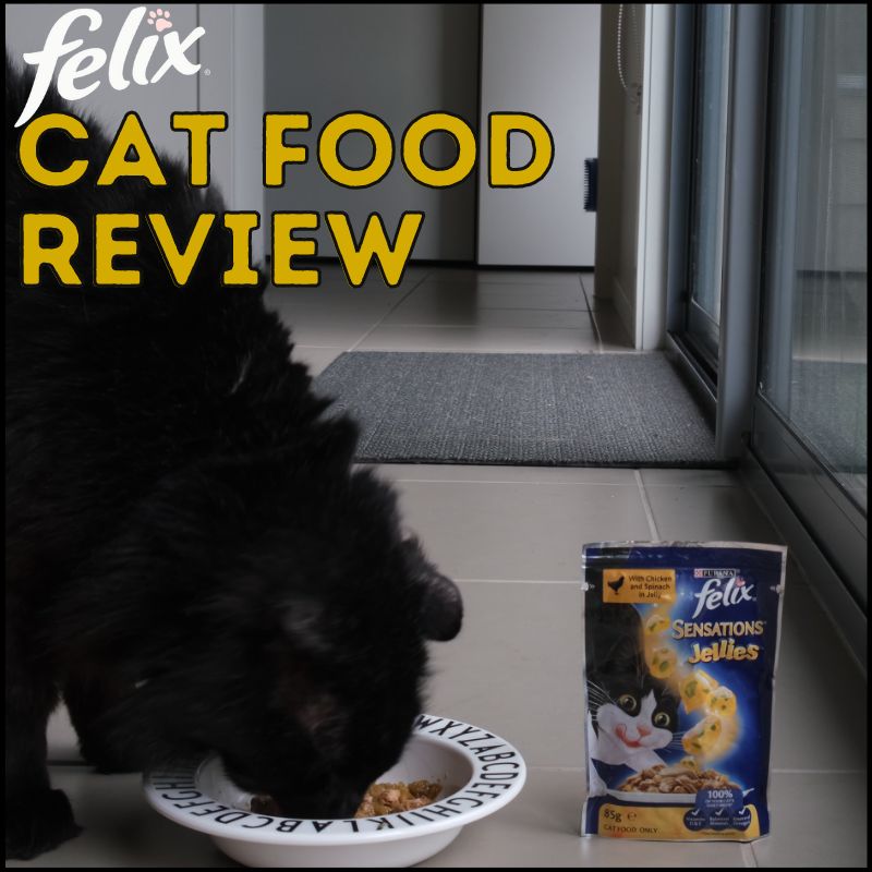 Honest Felix Cat Food Review