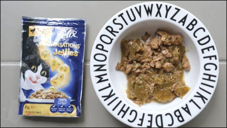 Honest Felix Cat Food Review in 2023: Is it Safe & Healthy?