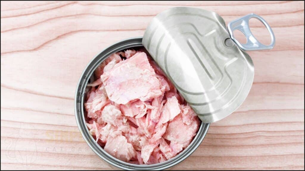 A tin of tuna.