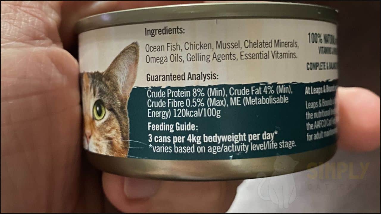 A Full Low Carb Cat Food List For Healthy Eating In 2023