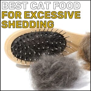 Best Cat Food for Excessive Shedding