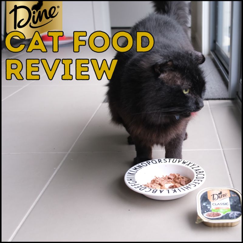 Honest Dine Cat Food Review