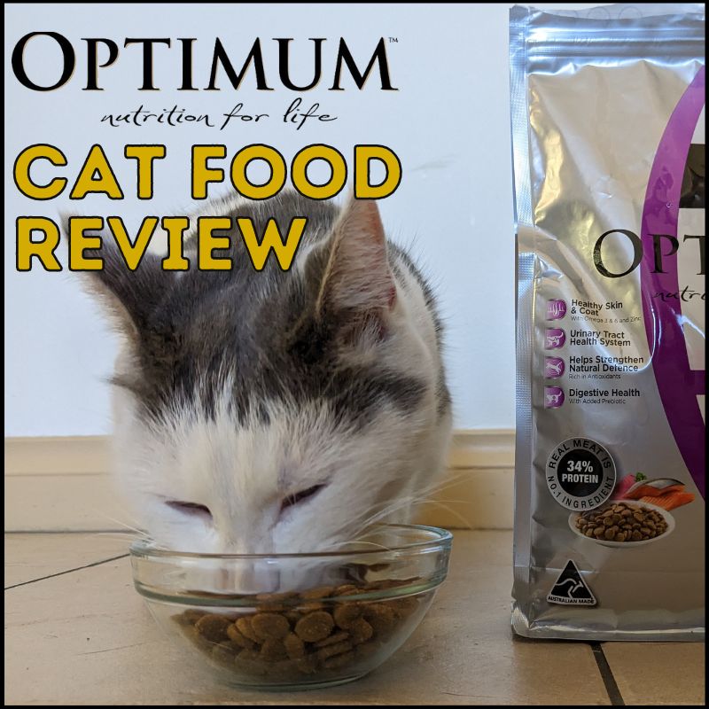 Honest Optimum Cat Food Review