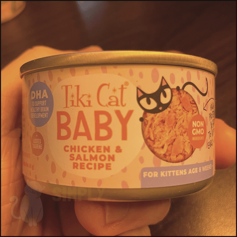Tiki Baby Cat food (presentation)
