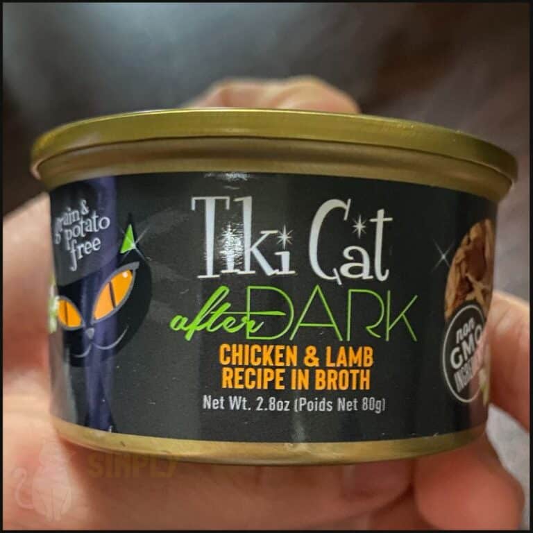 3 Best Indoor Cat Foods for Health in 2024