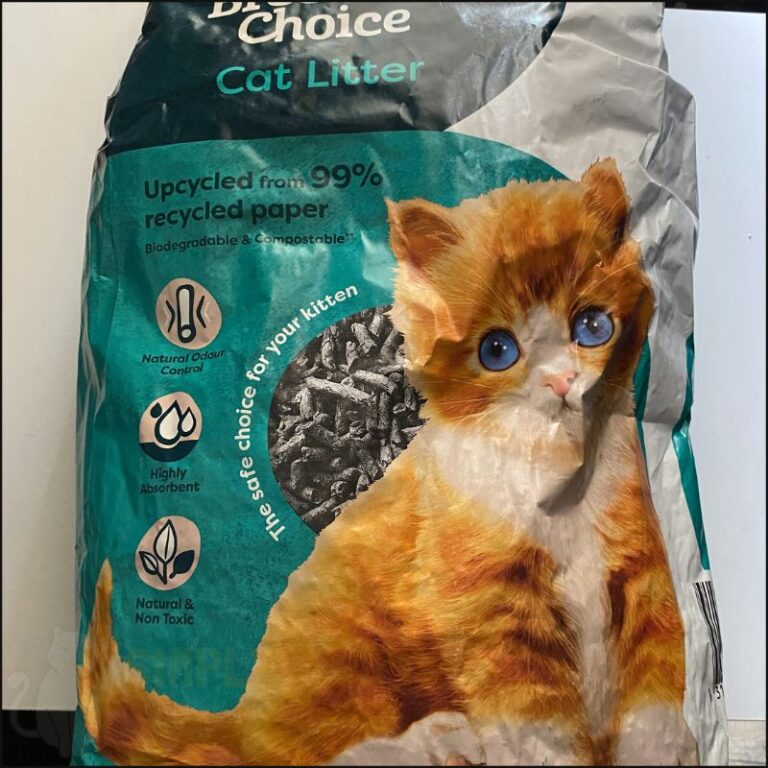 Honest Breeders Choice Cat Litter Review in 2024