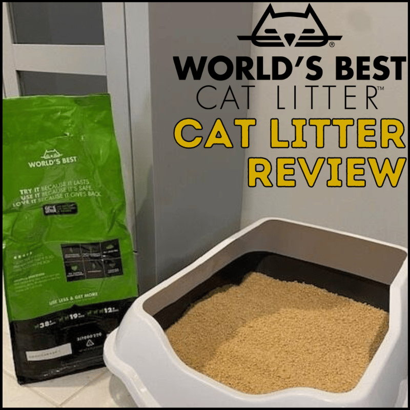 Worlds best cat litter review