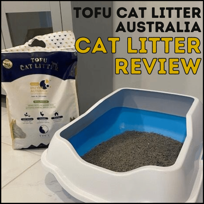 Tofu Cat Litter Australia Review