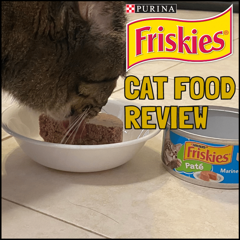 Friskies wet cat food review