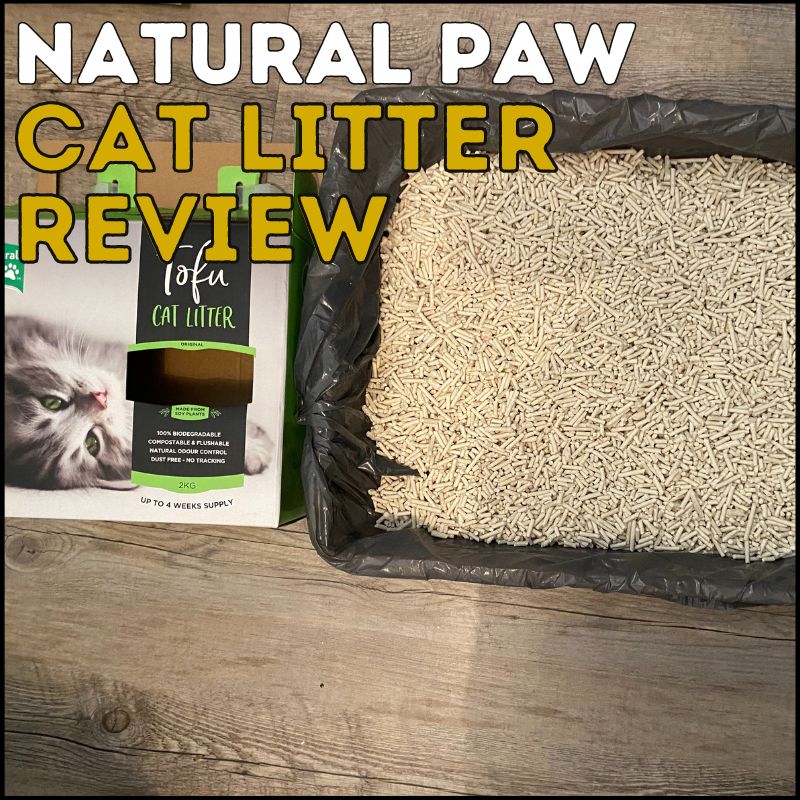 Honest Natural Paw Company Tofu Cat Litter Review in 2023