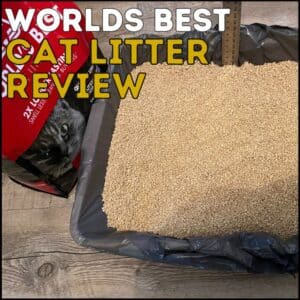 World's Best Cat Litter Review