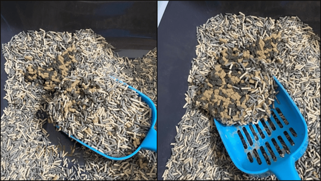 A look at how well Rufus and Coco cat litter clumps