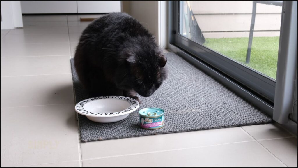 Our cat trying Fancy Feast.