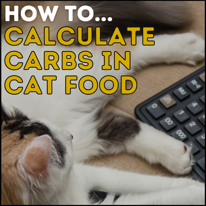 Easy Guide on How to Calculate Carbs in Cat Food