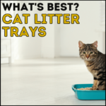 What cat litter tray is best?