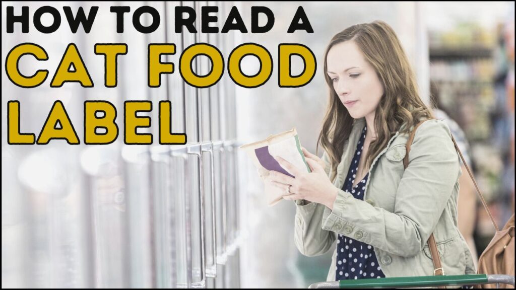 How to Read a Cat Food Label