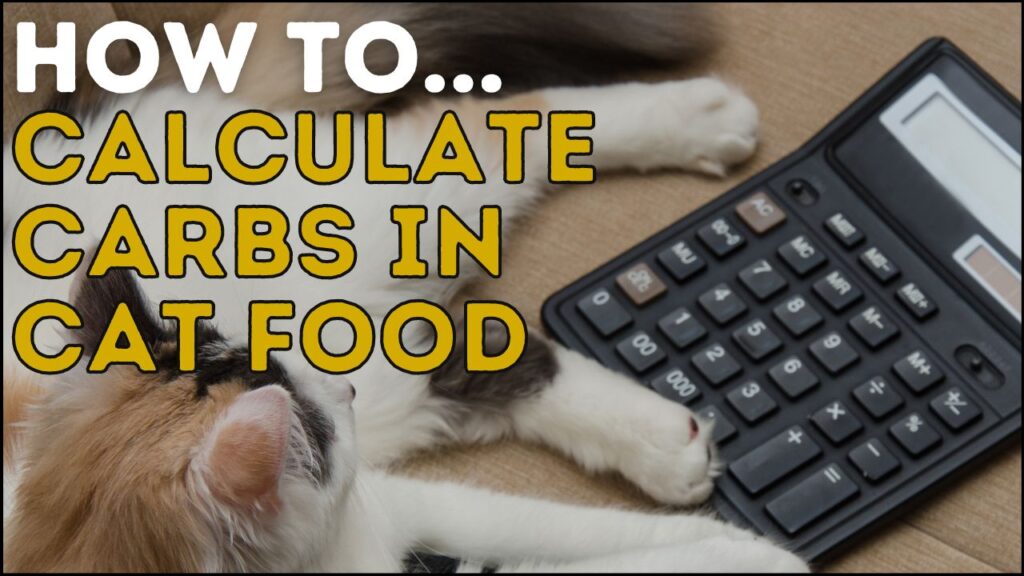 How to Calculate Carbs in Cat Food