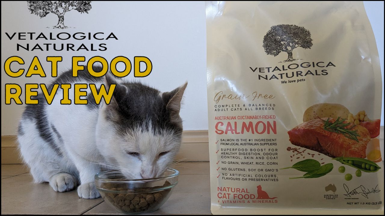Honest Vetalogica Naturals Cat Food Review 2024