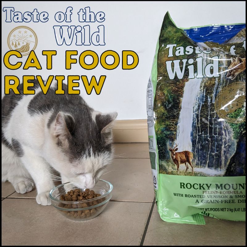 Honest Taste of the Wild Cat Food Review 2023