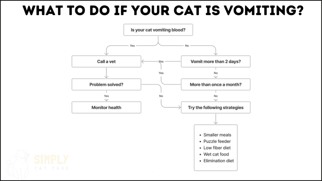 A data visualization showing what to do if your cat is vomiting