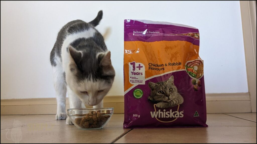 Our cat tries Whiskas dry cat food