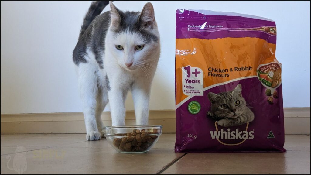 Our cat trying Whiskas dry cat food