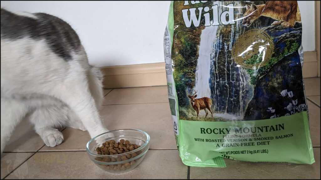 Our cat trying Taste of the Wild dry cat food