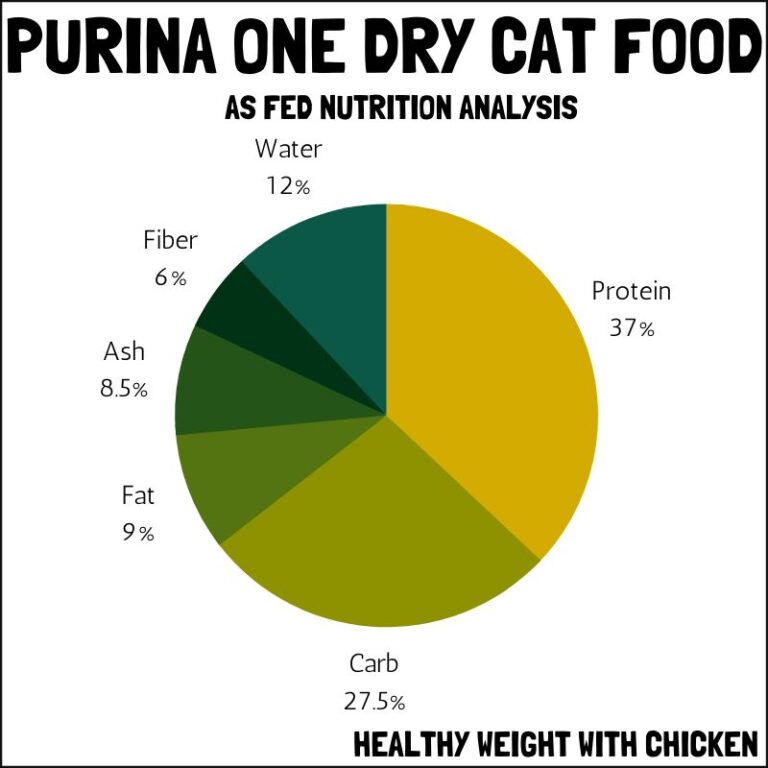 Honest Purina One Dry Cat Food Review in 2023